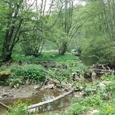 Haus Am Kurpark Гостевой дом 2*